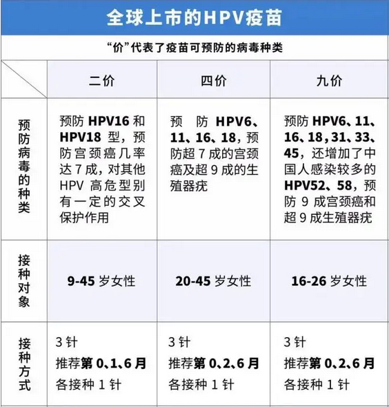 67f8b2d55fa807.24463063.png